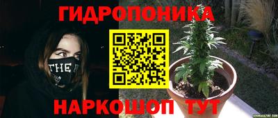 spice Краснокаменск