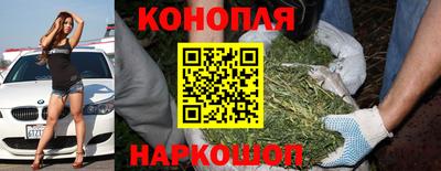 герыч Новодвинск