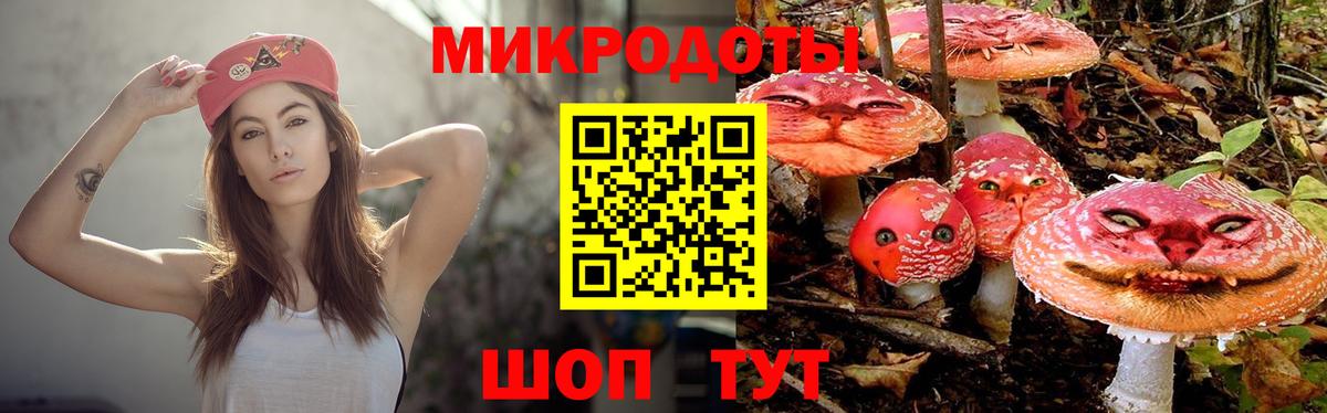 Галлюциногенные грибы ЛСД  Псилоцибиновые грибы мухоморы  Кемерово  Вход с VPN 